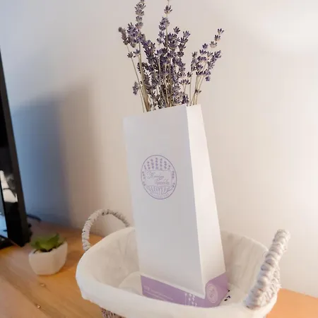 Cadet Bltn By Bltn Apartament